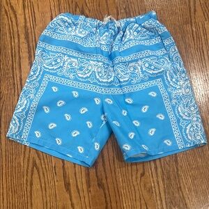 SHEIN Blue Bandana Print Men's Swim Trunks